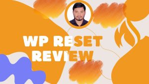 wp reset plugin